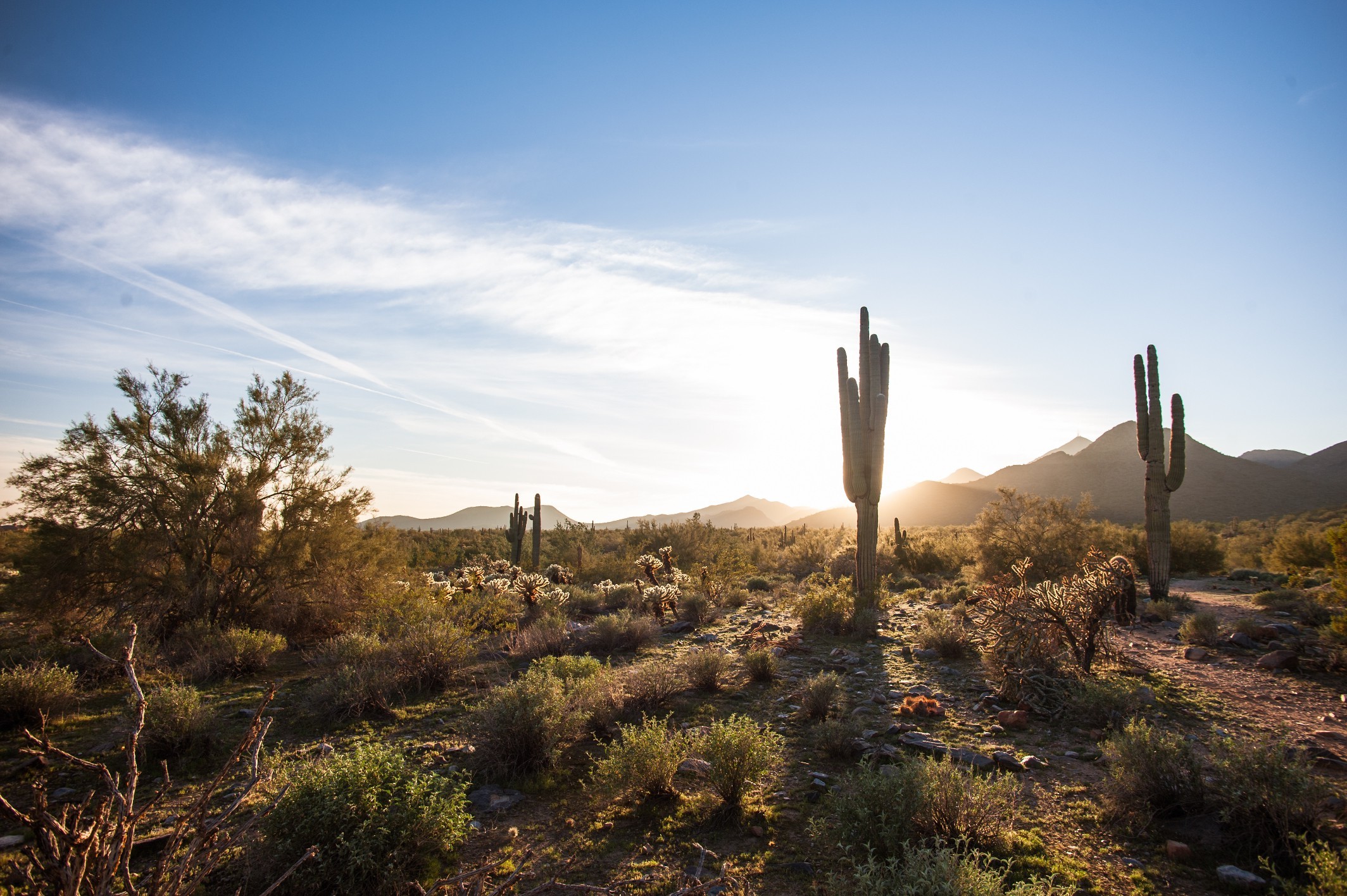 nature, Landscape, Arizona, USA Wallpaper