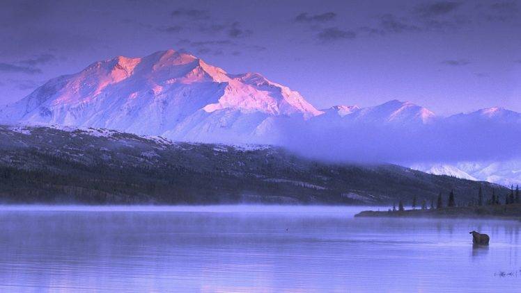 nature, Landscape, Mountains, Snow, Lake, Sunset, Mist, Cold, Moose, Alaska HD Wallpaper Desktop Background
