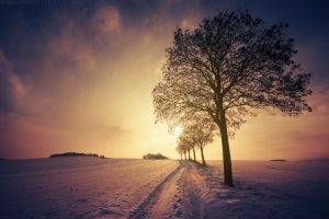 nature, Landscape, Snow, Trees, Path, Winter, Sunset, Sunlight, Clouds