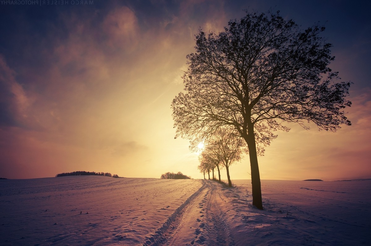 nature, Landscape, Snow, Trees, Path, Winter, Sunset, Sunlight, Clouds Wallpaper