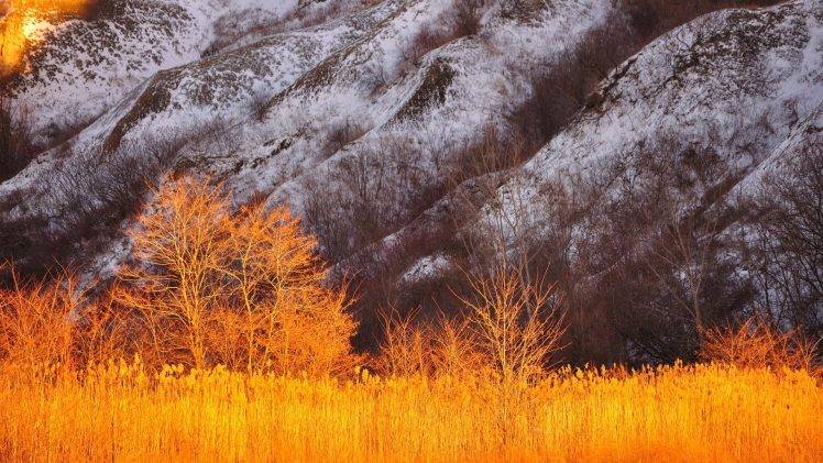 nature, Landscape, Mountains, Rock, Trees, Fall, Snow, Plants HD Wallpaper Desktop Background