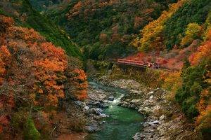nature, Landscape, Train, River, Mountains, Forest, Fall, Canyon, Japan, Colorful