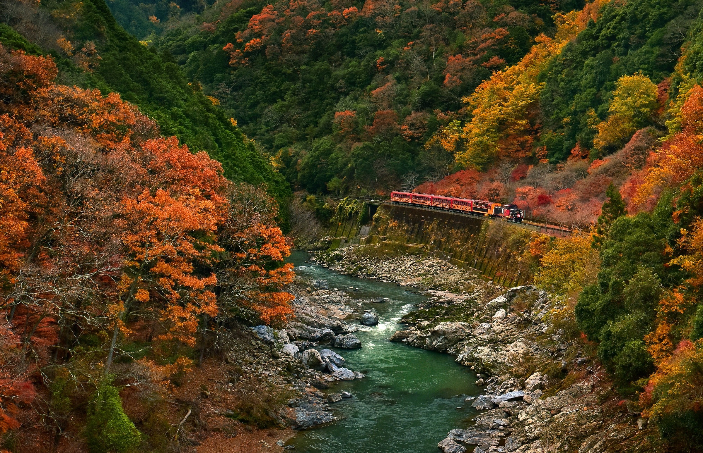 nature, Landscape, Train, River, Mountains, Forest, Fall, Canyon, Japan, Colorful Wallpaper