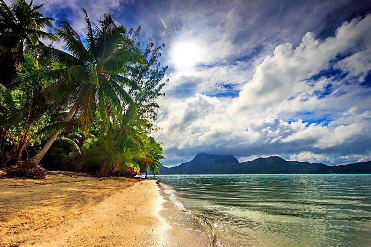 nature, Landscape, Beach, Sea, Palm Trees, Clouds, Island, Sunlight, Tropical, Bora Bora, French Polynesia HD Wallpaper Desktop Background