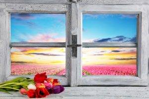 flowers, Petals, Tulips, Landscape, Nature, Window, Field, Clouds, Wooden Surface, Sunlight
