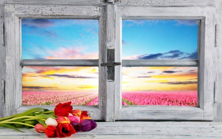 flowers, Petals, Tulips, Landscape, Nature, Window, Field, Clouds, Wooden Surface, Sunlight HD Wallpaper Desktop Background
