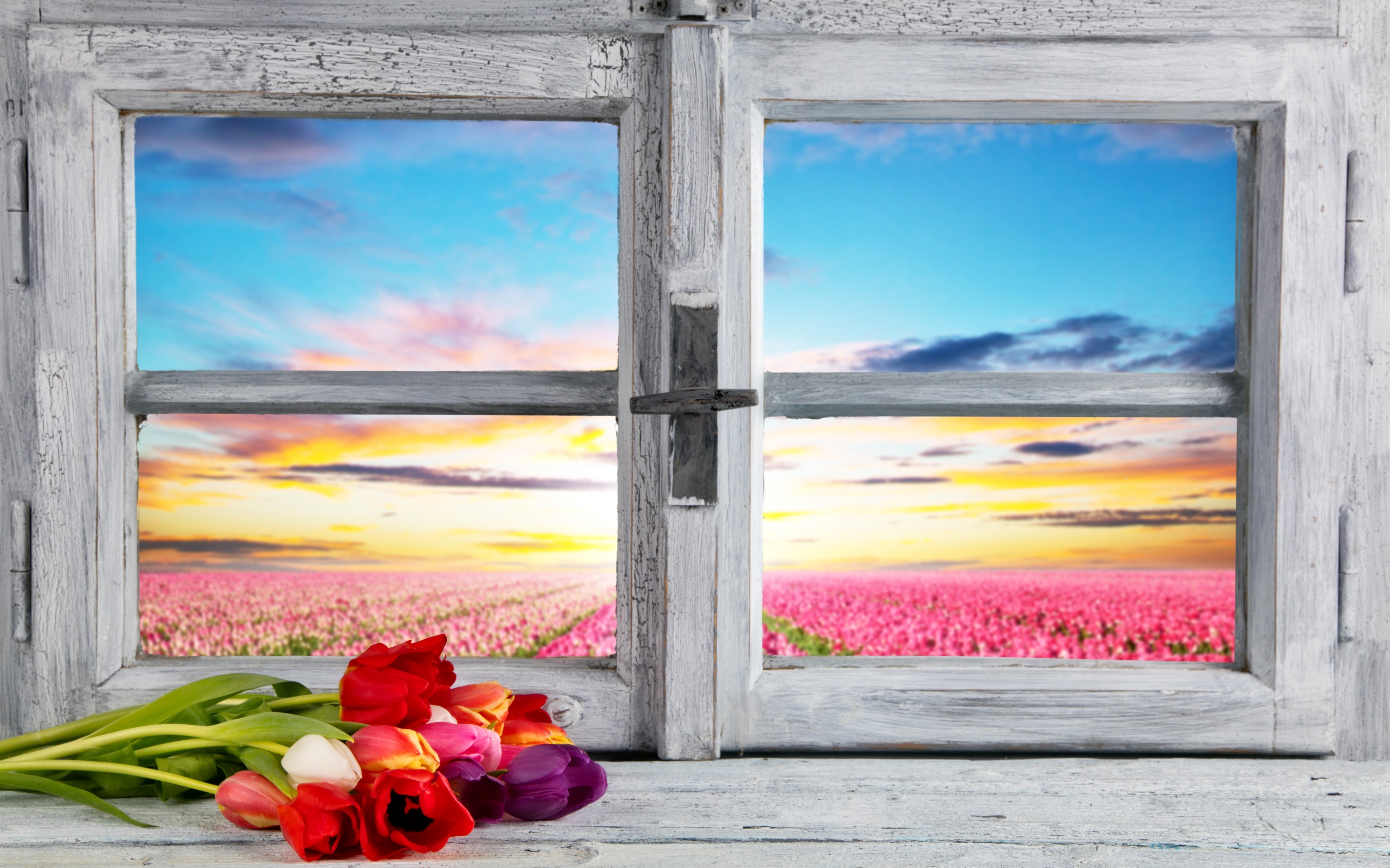 flowers, Petals, Tulips, Landscape, Nature, Window, Field, Clouds, Wooden Surface, Sunlight Wallpaper