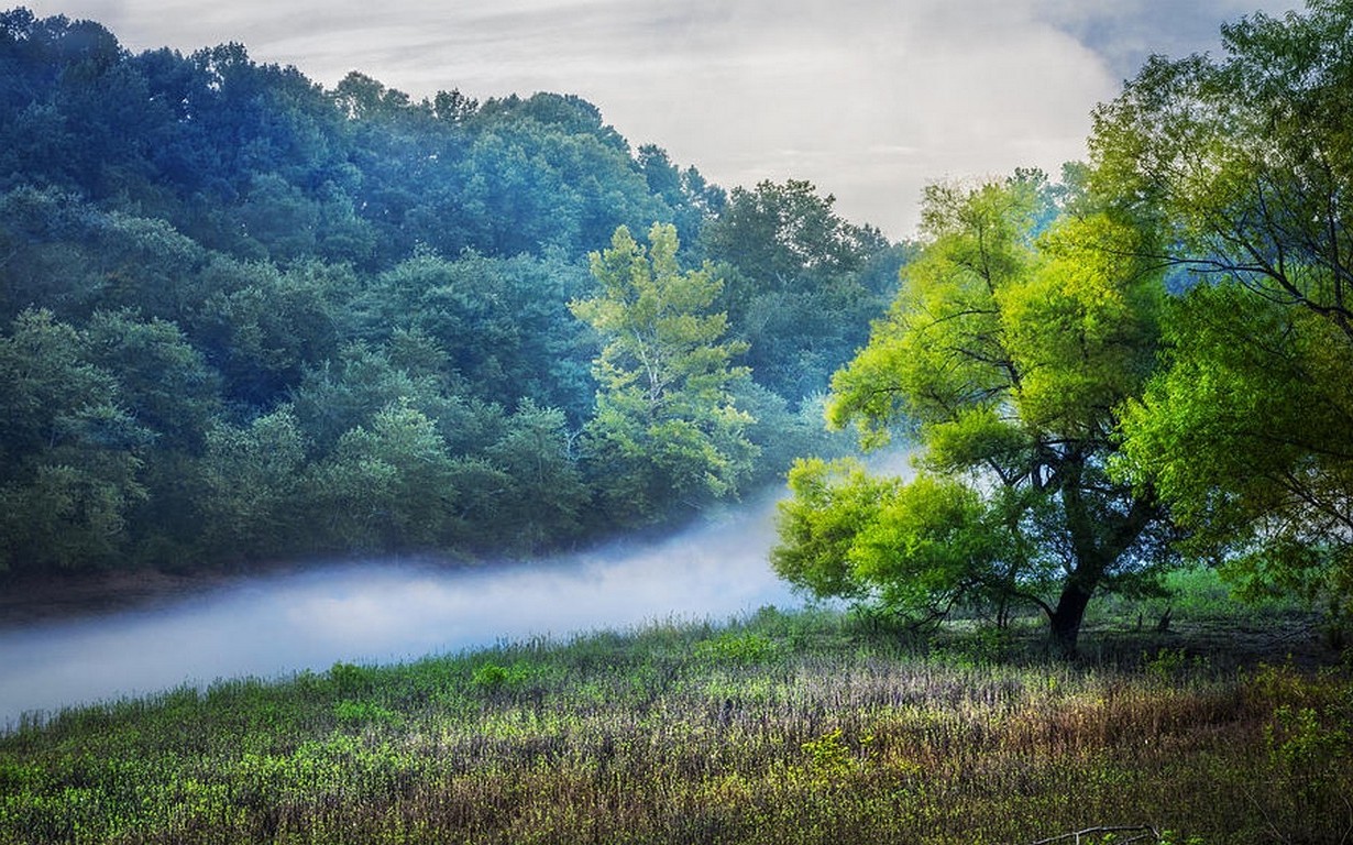 nature, Landscape, Mist, River, Forest, Grass, Trees, Overcast, Daylight, Green Wallpaper