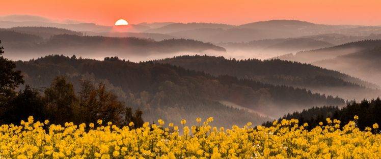 nature, Landscape, Mist, Wildflowers, Mountains, Forest, Pink, Sky, Yellow, Flowers, Germany HD Wallpaper Desktop Background