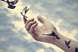 hands, Nature, Animals, Birds, Pigeons, Photo Manipulation, Clouds, Sky, Flying, Artwork