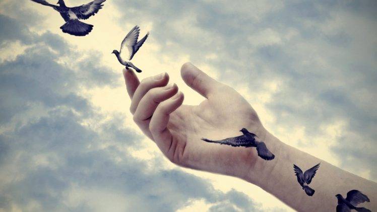 hands, Nature, Animals, Birds, Pigeons, Photo Manipulation, Clouds, Sky, Flying, Artwork HD Wallpaper Desktop Background