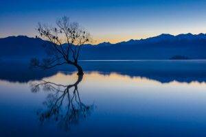 nature, Landscape, Calm, Blue, Water, Trees, Lake, Reflection, Mountains, Birds, Sunset, New Zealand