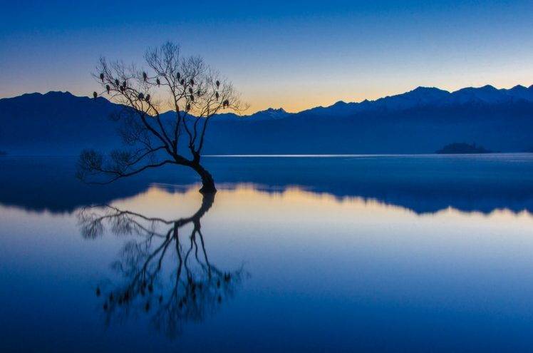 nature, Landscape, Calm, Blue, Water, Trees, Lake, Reflection, Mountains, Birds, Sunset, New Zealand HD Wallpaper Desktop Background
