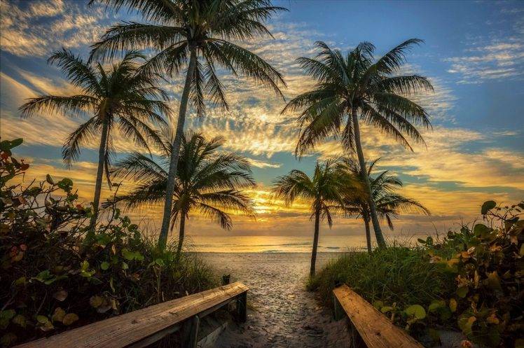 nature, Landscape, Beach, Palm Trees, Sky, Clouds, Sand, Path, Sea, Plants, Sunlight, Florida HD Wallpaper Desktop Background