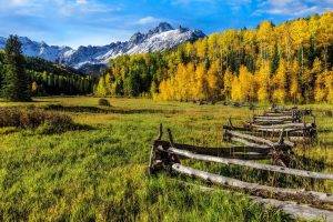 nature, Landscape, Fence, Forest, Fall, Grass, Mountains, Snowy Peak, Morning, Sunlight, Yellow, Trees, Colorado