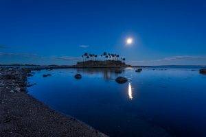 landscape, Nature, Moonlight, Coconuts, Island, Beach, Blue, Water, Reflection, Norway
