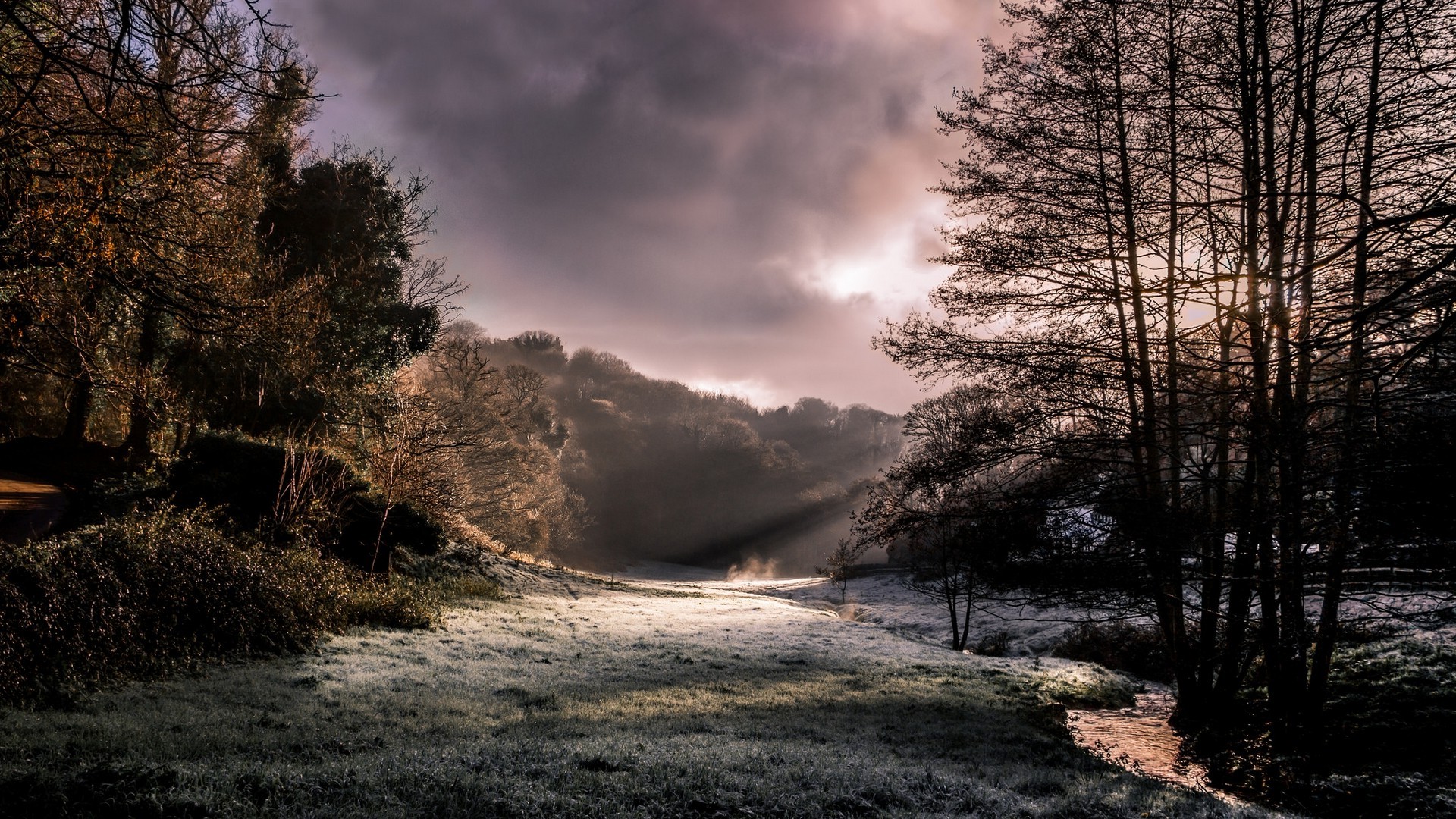 nature, Landscape, Morning, Sunlight, Creeks, Forest, Frost, Clouds, Sun Rays, Trees, Cold, UK Wallpaper