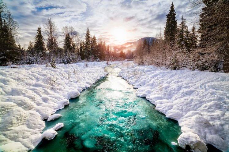 Canada, Snow, Nature, Landscape, River, Winter, Pine Trees HD Wallpaper Desktop Background