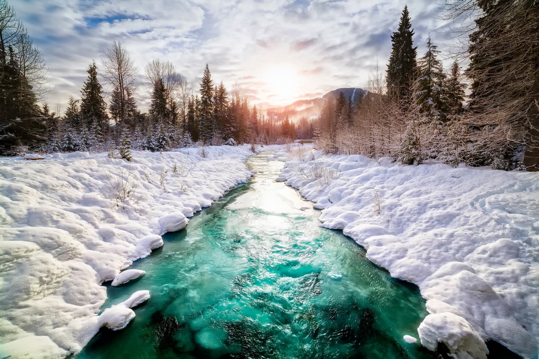 Canada, Snow, Nature, Landscape, River, Winter, Pine Trees Wallpaper