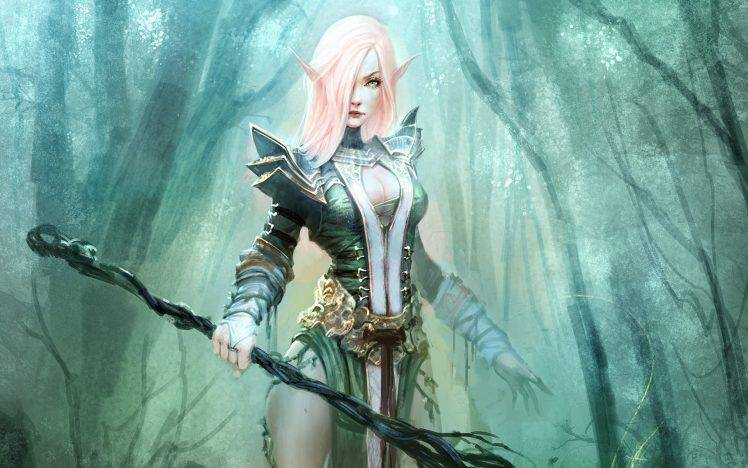 fantasy Art, Elves, Blonde HD Wallpaper Desktop Background