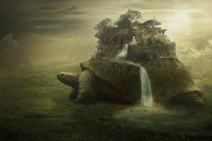 fantasy Art, Turtle, Nature, Digital Art