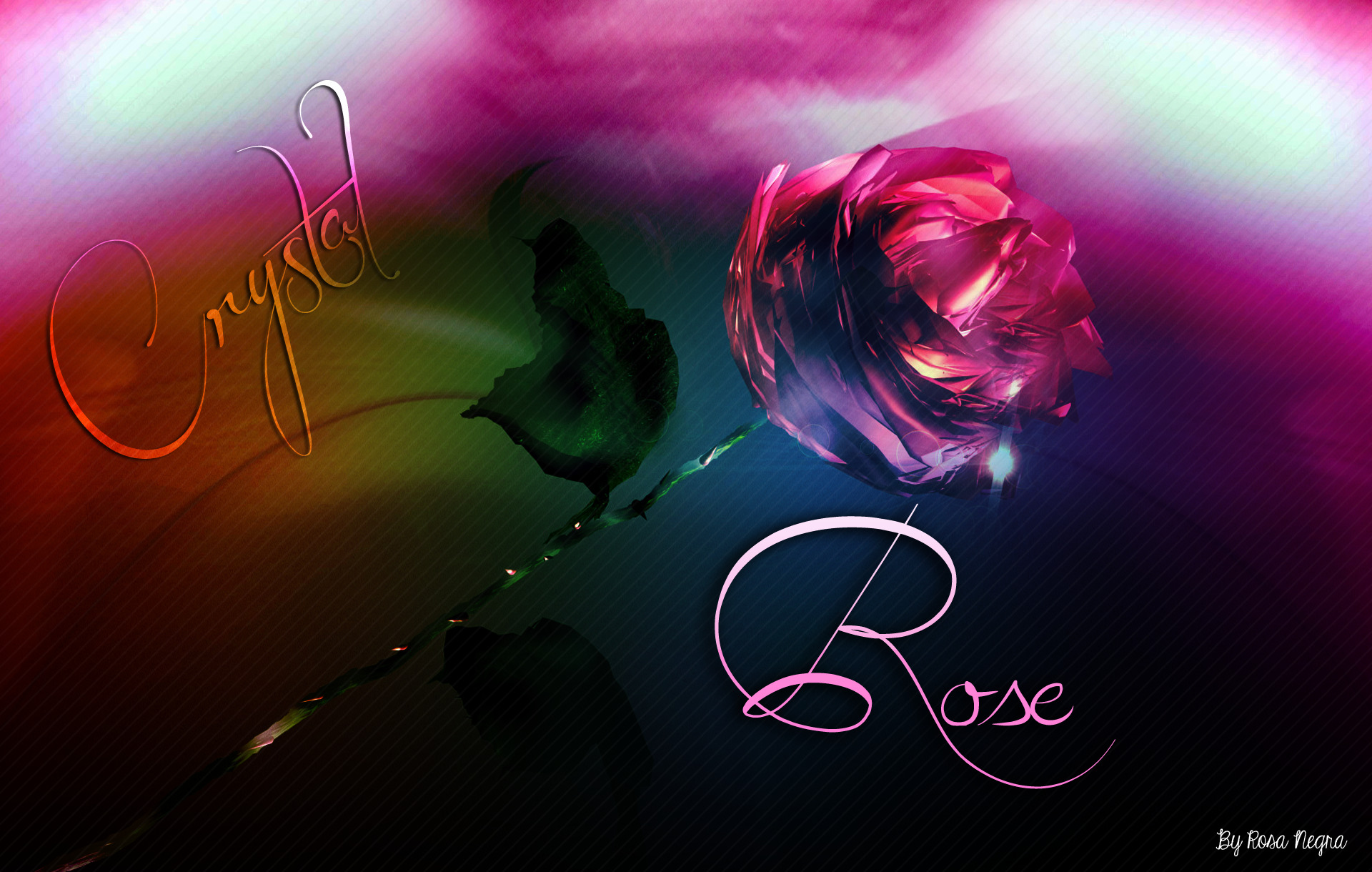 rose, Fantasy Art Wallpaper