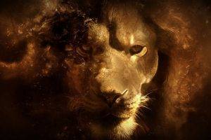 lion, Fantasy Art