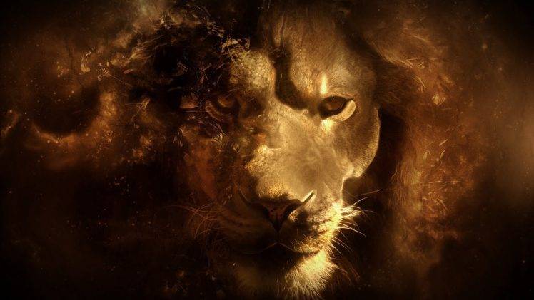 lion, Fantasy Art HD Wallpaper Desktop Background