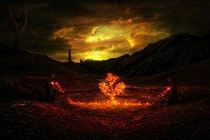 fantasy Art, Fire, Trees