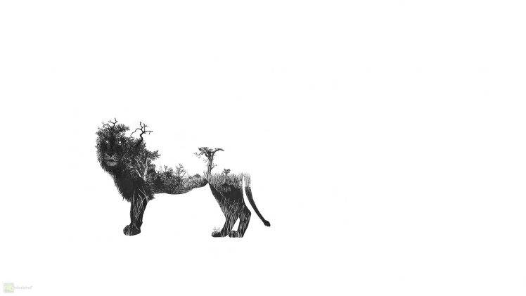 fantasy Art, Lion, Africa HD Wallpaper Desktop Background