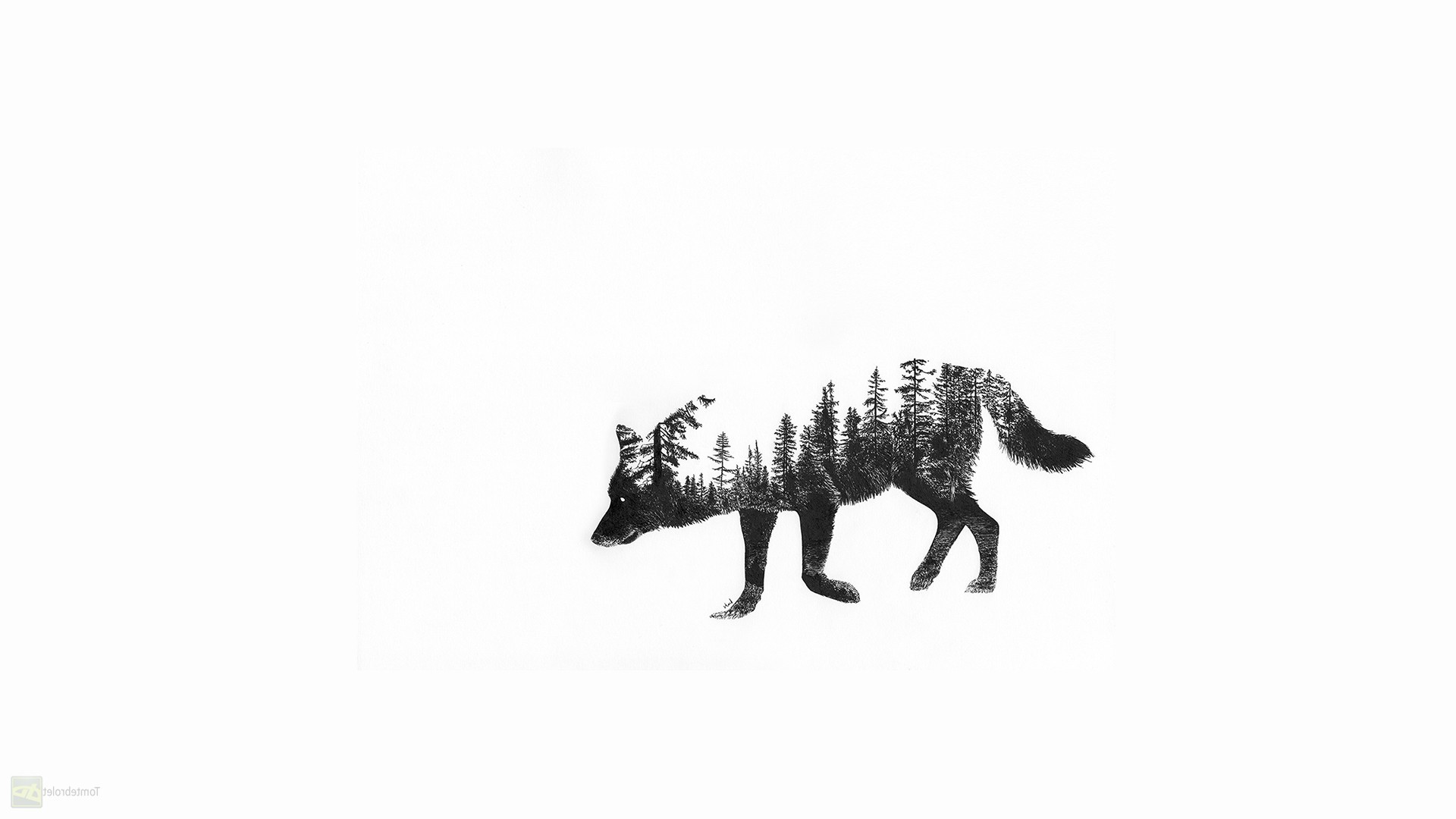 fantasy Art, Wolf, Forest Wallpaper