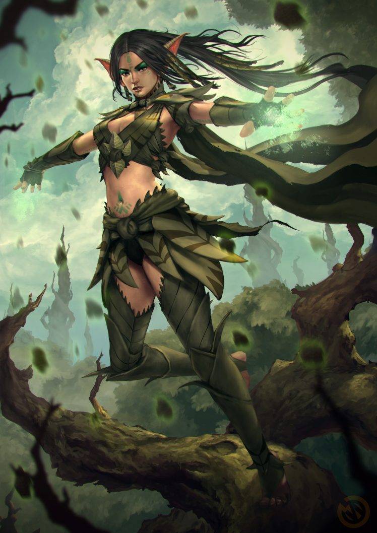 fantasy Art, Druids, Elves HD Wallpaper Desktop Background