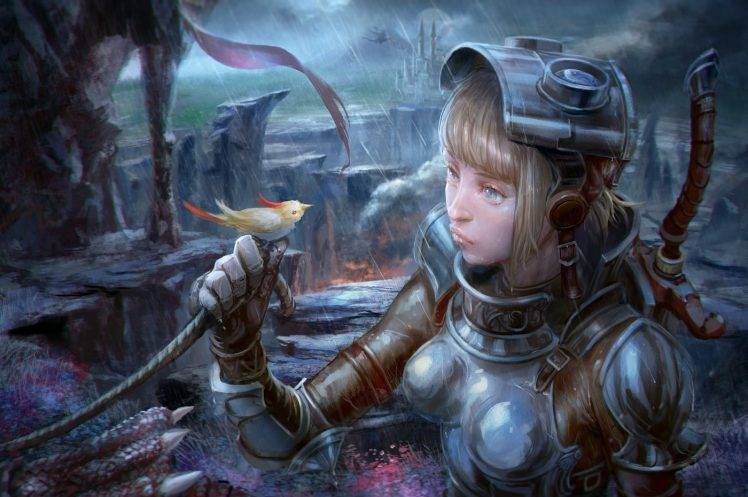 fantasy Art, Armor, Birds, Rain HD Wallpaper Desktop Background