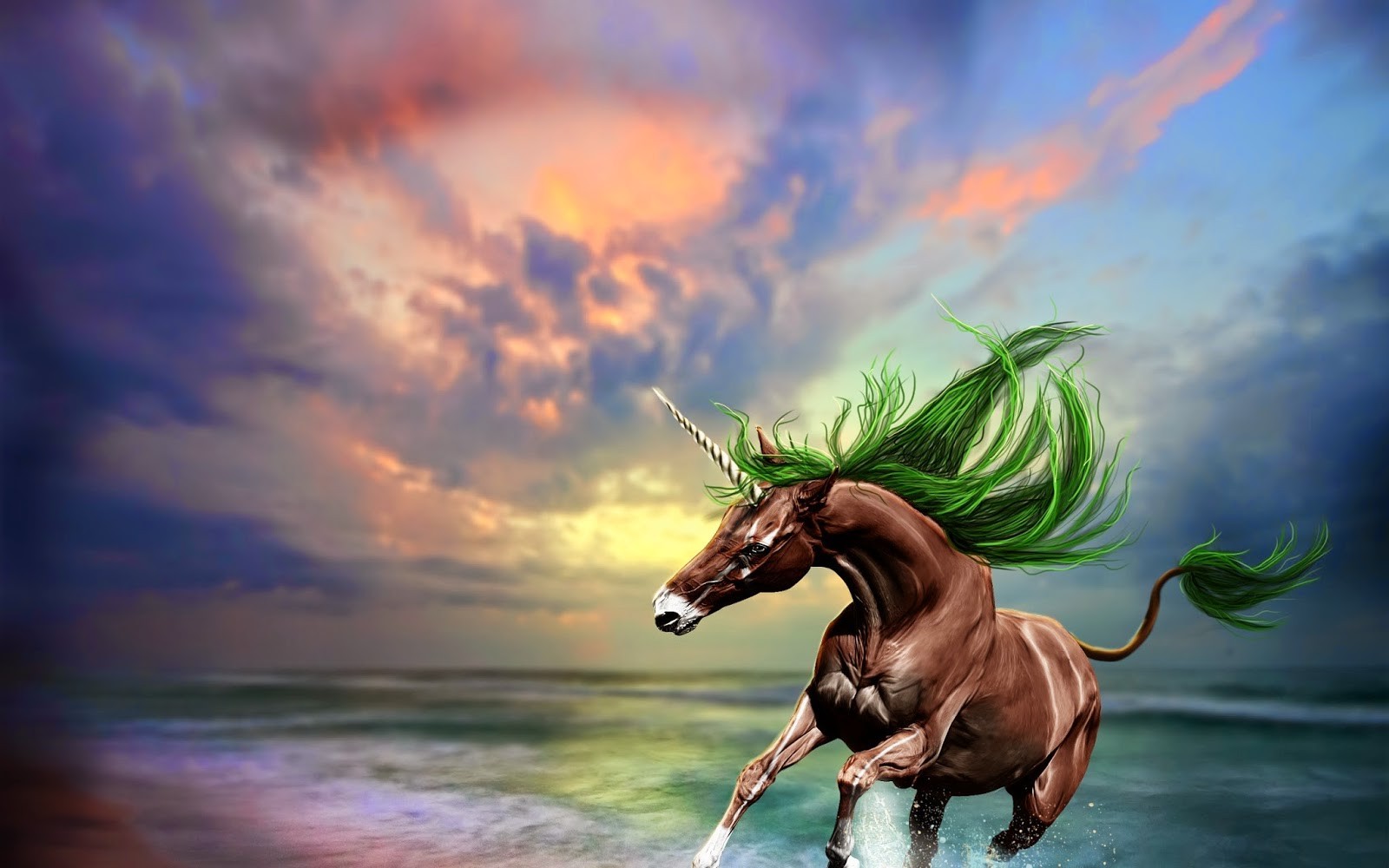 Unicorns Horse Fantasy Art Digital Art Wallpapers Hd Desktop And