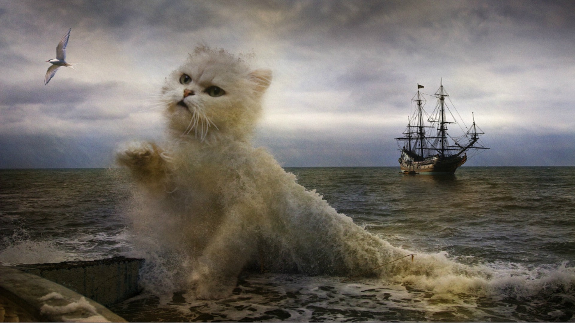 digital Art, Cat, Ship, Fantasy Art Wallpaper