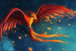 digital Art, Fantasy Art, Birds, Wings, Phoenix, Burning, Fire, Flying, Tail
