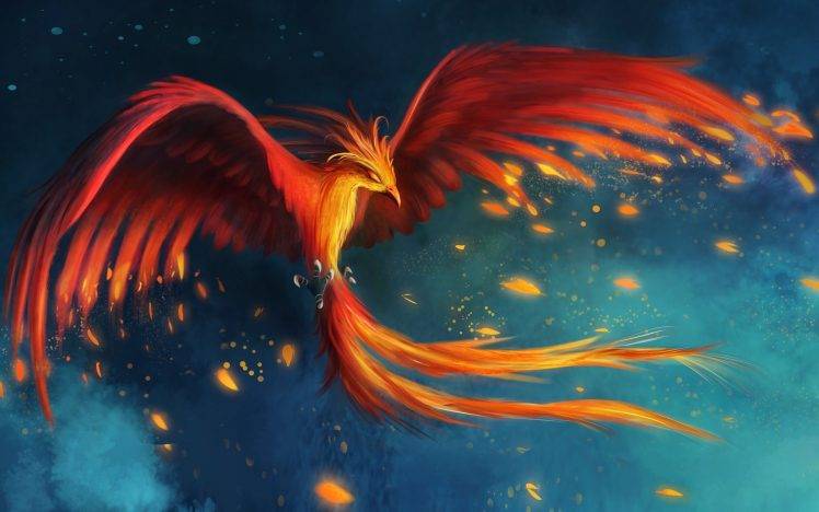 digital Art, Fantasy Art, Birds, Wings, Phoenix, Burning, Fire, Flying, Tail HD Wallpaper Desktop Background