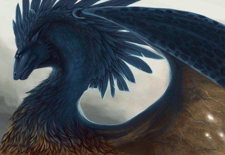 fantasy Art, Wings, Blue, Feathers, Creature HD Wallpaper Desktop Background