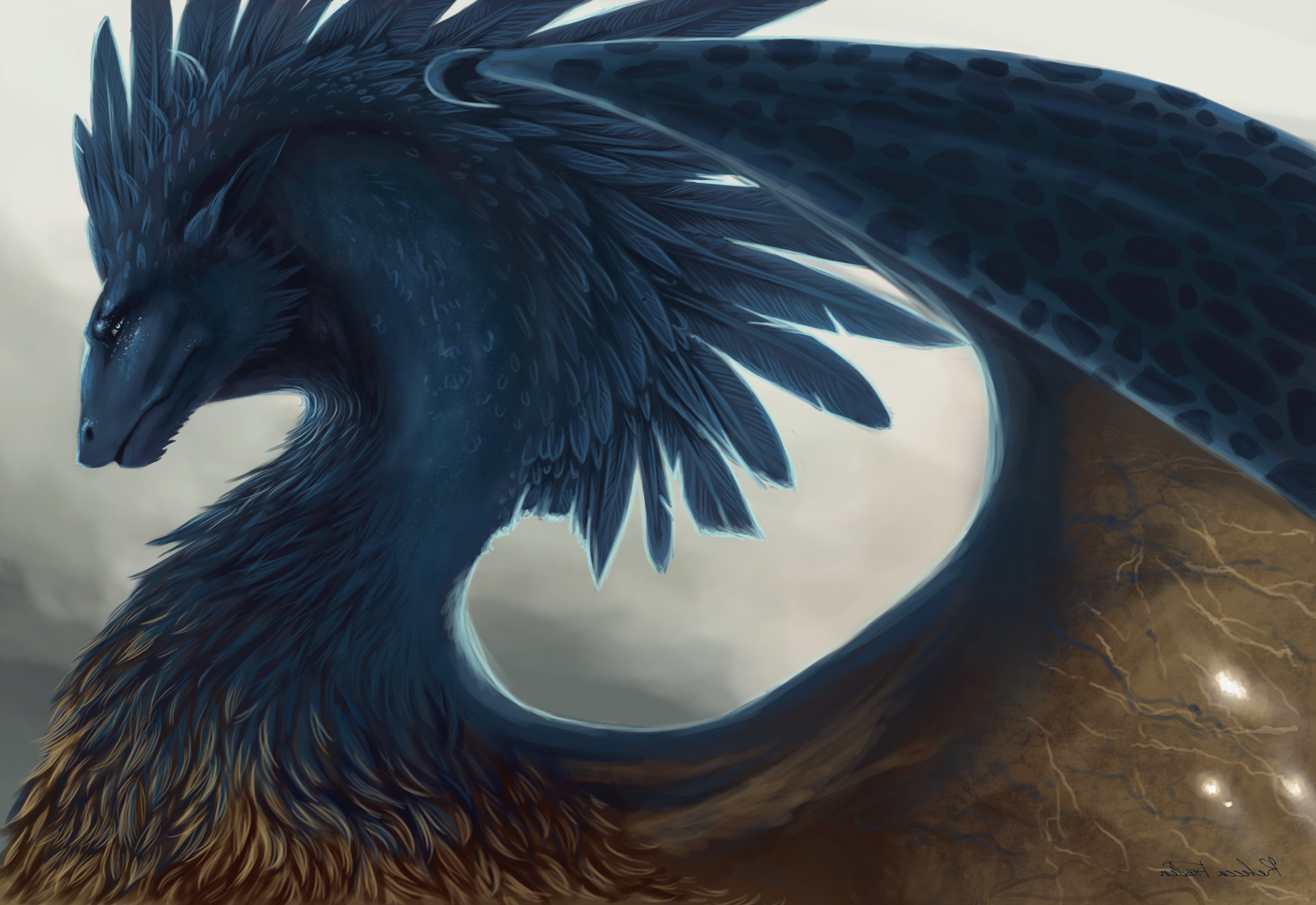 fantasy Art, Wings, Blue, Feathers, Creature Wallpaper