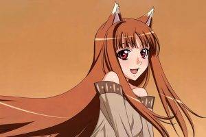 Spice And Wolf, Holo