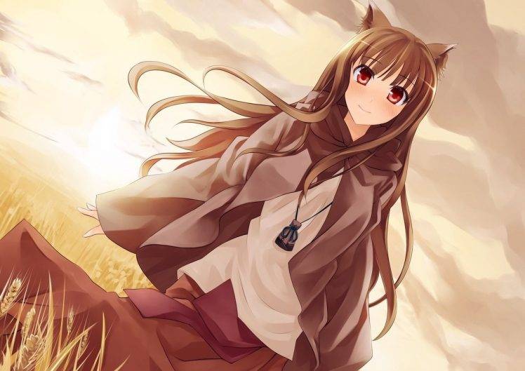 Holo, Spice And Wolf HD Wallpaper Desktop Background