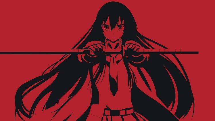 anime, Anime Girls, Akame Ga Kill!, Akame HD Wallpaper Desktop Background
