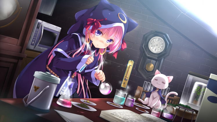 anime Girls, Cat Girl, Hoods, HHG Megami No Shuuen, Sally Kirimiya HD Wallpaper Desktop Background