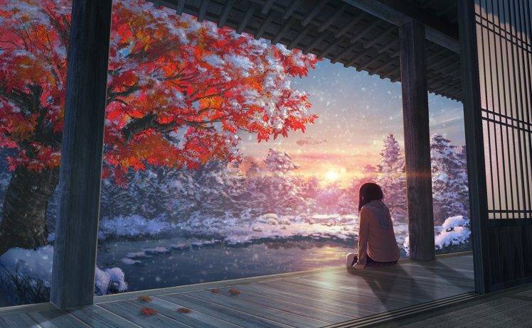 fall, Snow, Japanese Maple, Forest, Lake HD Wallpaper Desktop Background