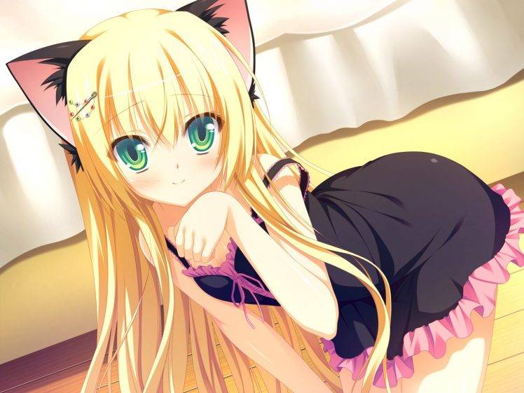 anime Girls, Cat Girl, Oni Gokko, Sumiyoshi Kureha, Animal Ears, Nekomimi, Visual Novel HD Wallpaper Desktop Background