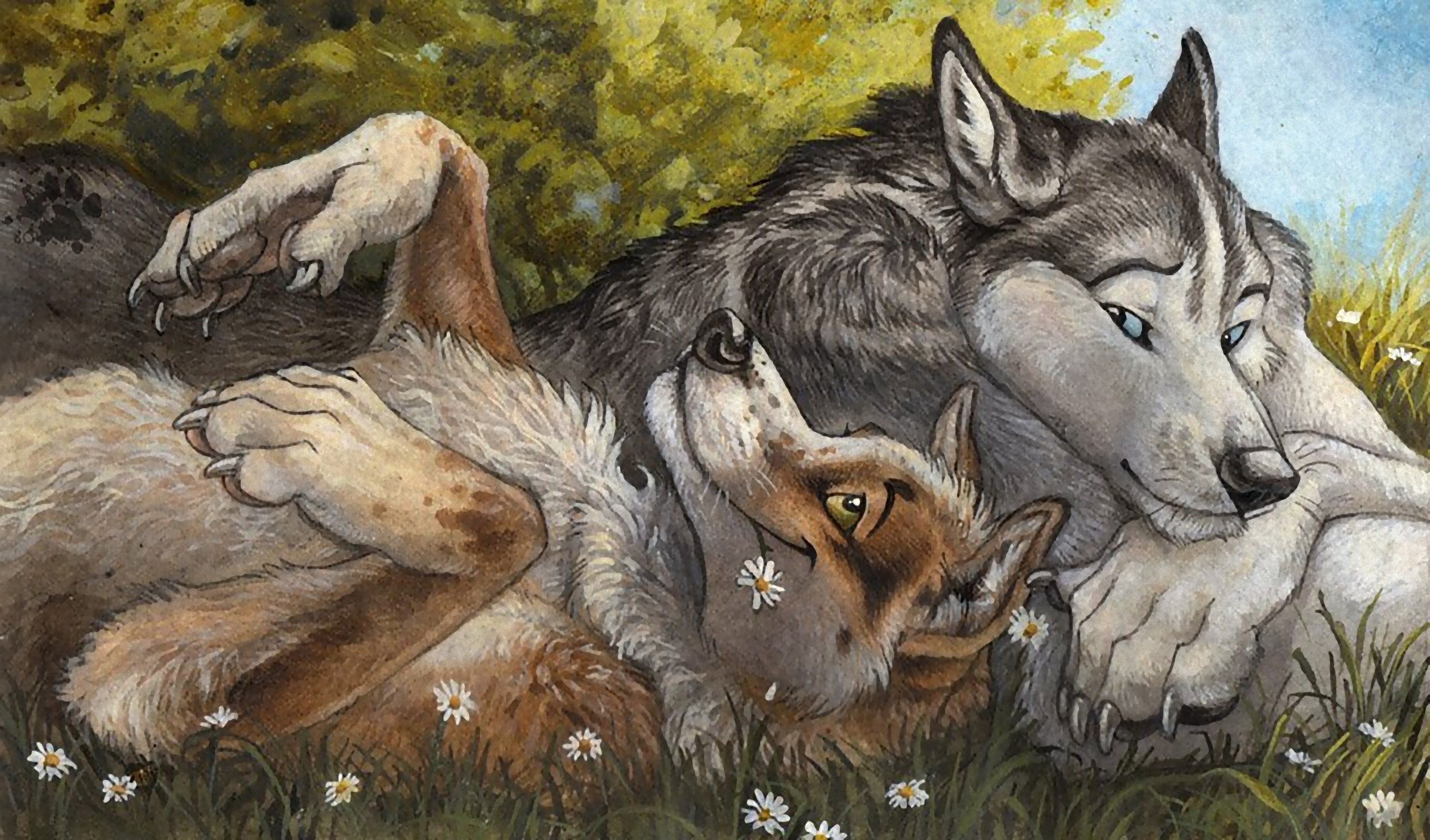 Волчонок с мамой арт