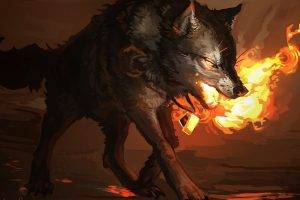 fire, Wolf