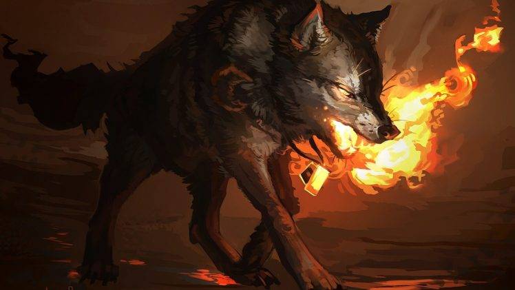 fire, Wolf HD Wallpaper Desktop Background