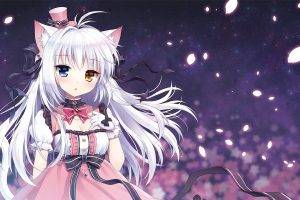 anime, Anime Girls, Cat Girl, Heterochromia, Nekomimi, Original Characters, Gloves, White Hair