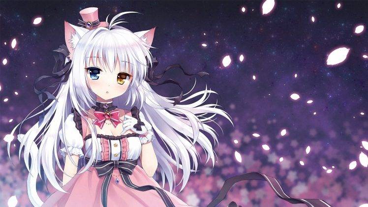 anime, Anime Girls, Cat Girl, Heterochromia, Nekomimi, Original Characters, Gloves, White Hair HD Wallpaper Desktop Background